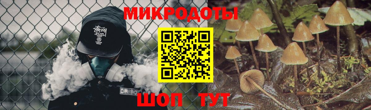 Псилоцибиновые грибы прущие грибы Владимир